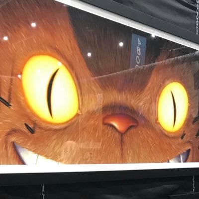 Profile Picture of Alexis Ledesma (@bigoteconwax) on Twitter