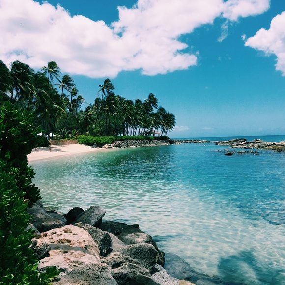 Profile Picture of Cailey Duprau (@caileyjeanne) on Poshmark