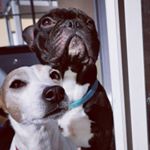 Profile Picture of Kitty & Newton (@kitty_newton2) on Instagram