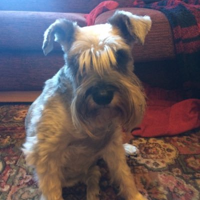 Profile Picture of Matthew Kear (@ProWheeler4) on Twitter