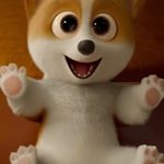 Profile Picture of david (@davidvanlaerhoven) on Instagram