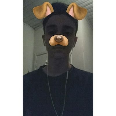Profile Picture of Bryan Matteo (@bryanmatteo) on Twitter