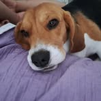 Profile Picture of Pablo Berardo (@pablo.berardo.54) on Facebook