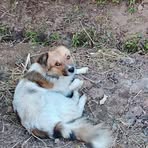 Profile Picture of Andrew Kuria (@Andrew-Kuria) on Facebook