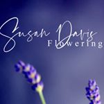 Profile Picture of Susan Davis - Florist/Teacher (@susandavistutorials) on Instagram