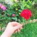 Profile Picture of Intesar Mohammed (@intesar.mohammed.311) on Facebook