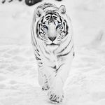 Profile Picture of wilgy_0042 (@larry_wilgenbusch) on Instagram