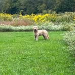 Profile Picture of Brian Heiser (@brian.heiser.583545) on Facebook