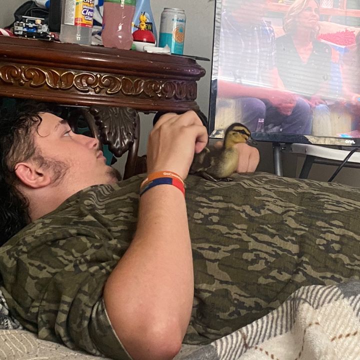 Profile Picture of Rebecca (@rebecca.strong8) on Tiktok