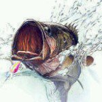Profile Picture of Leo Holmes (@leodholmes) on Instagram