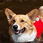 Profile Picture of Ben Seabrook (@seabrook.ben2002) on Instagram