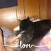 Profile Picture of Rusty Baumer (@rusty.baumer.7) on Facebook