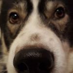 Profile Picture of Gavin Small (@gavin.small) on Instagram