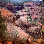 Profile Picture of Mark Miño (@sav_minho) on Instagram