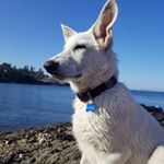 rashida thompson - Instagram Profile Picture of rashida thompson (@rashida.thompson__94) on Instagram