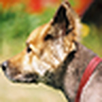 Profile Picture of Michael Cameron (@cameronmj) on Flickr