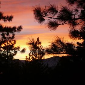 Profile Picture of Cory Ouellette (@cory365) on Pinterest