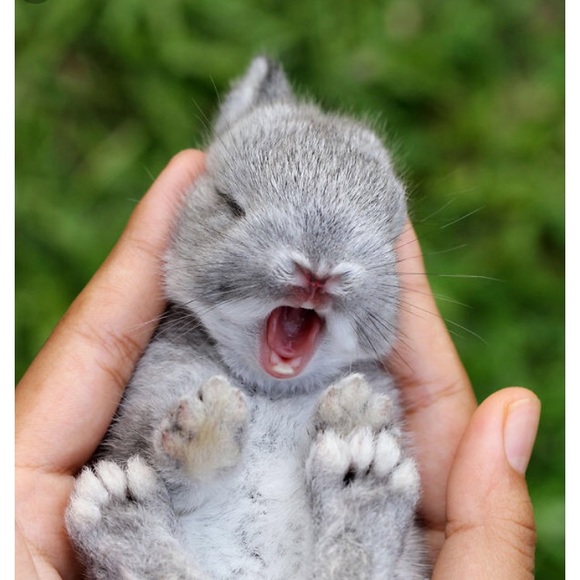 Profile Picture of Jenna Conaway (@jbconaway) on Poshmark