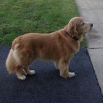 Profile Picture of David Nye (@davidnye860) on Instagram