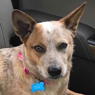 Profile Picture of Rusty Bryson (@rusty.bryson.142) on Facebook