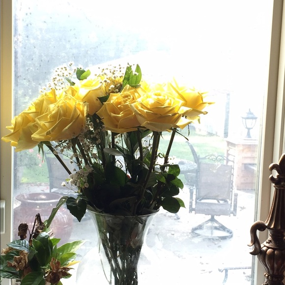 Profile Picture of Sarah Felps (@sarahhaanne) on Poshmark