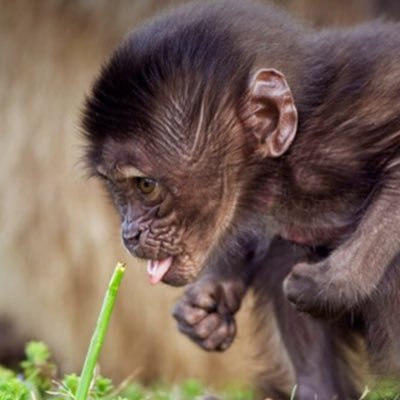 Daryl Tong - Twitter Profile Picture of Daryl Tong (@DarylTong1) on Twitter