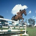 Patrick Kaye - Instagram Profile Picture of Patrick Kaye (@patrickkaye7164) on Instagram