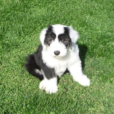 Patricia Chelmecki - Twitter Profile Picture of Patricia Chelmecki (@patchel42) on Twitter