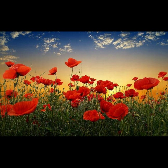 Profile Picture of Becky Busboom (@brb0544) on Poshmark