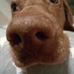 Profile Picture of Annette Kalisch (@annette.kalisch.5) on Facebook