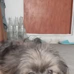 Profile Picture of Cindy Chubz (@Cindy-Chubz) on Facebook