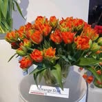 Profile Picture of Chris Lucas (@Chris-Lucas) on Facebook