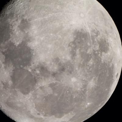 Profile Picture of Christopher Telfer (@telferccj) on Twitter