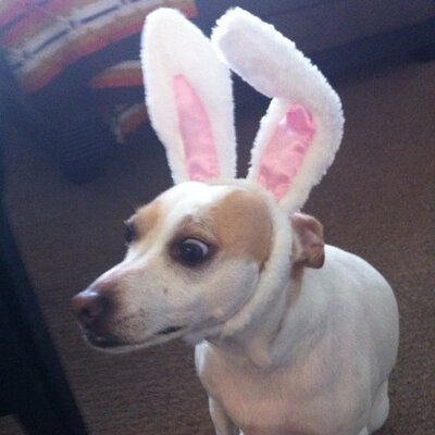 Profile Picture of Terry Shull (@Trudypf) on Twitter