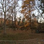 Profile Picture of Tina Reeder (@tina.reeder.56) on Facebook