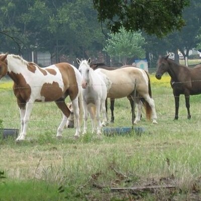 Profile Picture of Mike Prine (@mikeprine) on Twitter