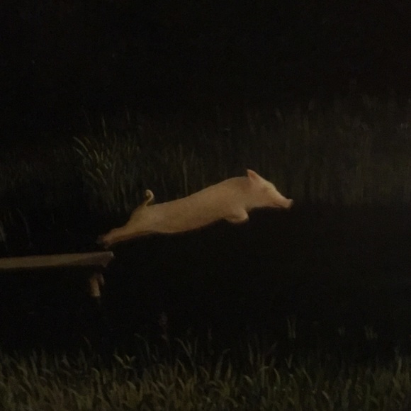 Profile Picture of Matt Vorse (@gaboy83) on Poshmark