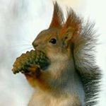 Kurt Lindström - Instagram Profile Picture of Kurt Lindström (@lindstromkurt) on Instagram