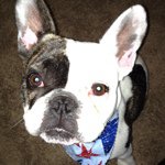 Profile Picture of Katie Critchley (@pknoodle) on Instagram