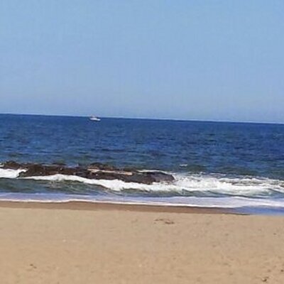 Profile Picture of Lisa DeBlass (@LDeBlass) on Twitter