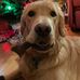 Profile Picture of Nicholas Malcolm (@nicholas.malcolm.98499) on Facebook