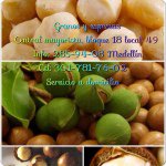 Profile Picture of Jessica Gomez Botero (@granosyespecias) on Instagram