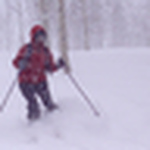 Profile Picture of Jan Boyer (@Hyla_versicolor) on Flickr