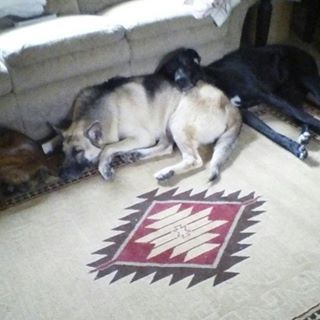 Profile Picture of Oscar Lima (@oscar.lima.5815) on Facebook