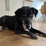 Profile Picture of Rob Coates (@rob.coates.359) on Facebook