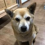 Profile Picture of 一田 倶滿江 (@ichida_2152) on Instagram