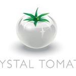 Profile Picture of CRYSTAL TOMATO UAE (@crystaltomato.uae) on Instagram