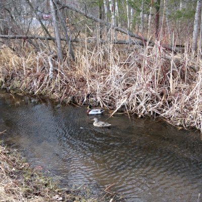 Fred & Wilma - Twitter Profile Picture of Fred & Wilma (@Fred_and_Wilma) on Twitter