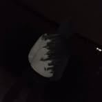 Profile Picture of Daniel Siegert (@Daniel-Siegert) on Facebook