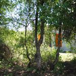 Profile Picture of Casas Apart del Champaquí (@casasdelchampaqui) on Instagram